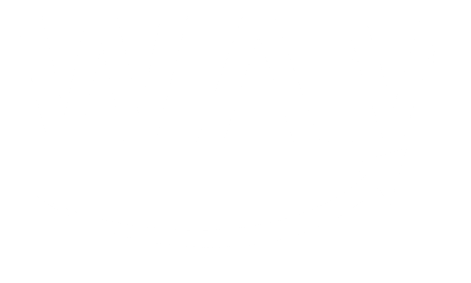 WAM logo hvid transparent